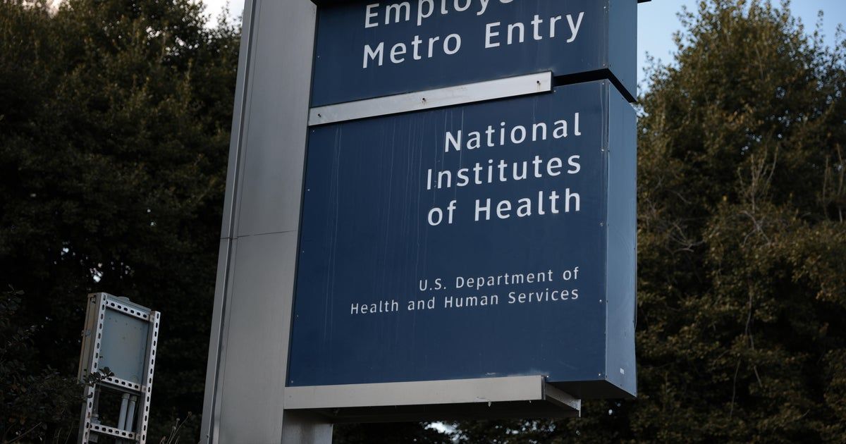 RFK Jr. told Congress no working scientists were fired, but these top NIH brain scientists are still facing job cuts RFK Jr. told Congress no working scientists were fired, but these top NIH brain scientists are still facing job cuts