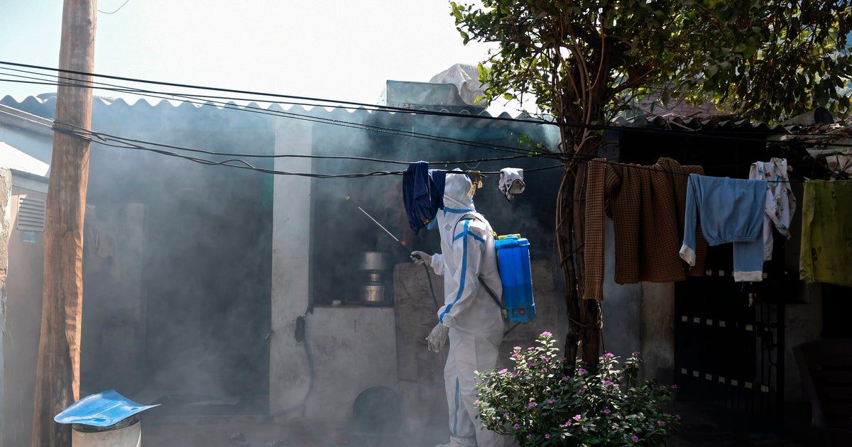 Human bird flu infection confirmed in India amid concern over avian flu outbreaks in U.S. farm animals