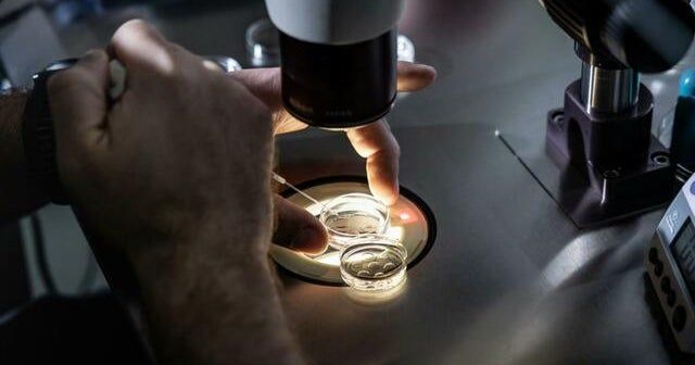 IVF clinics in Alabama that were closed are set to reopen amid reproductive rights battle