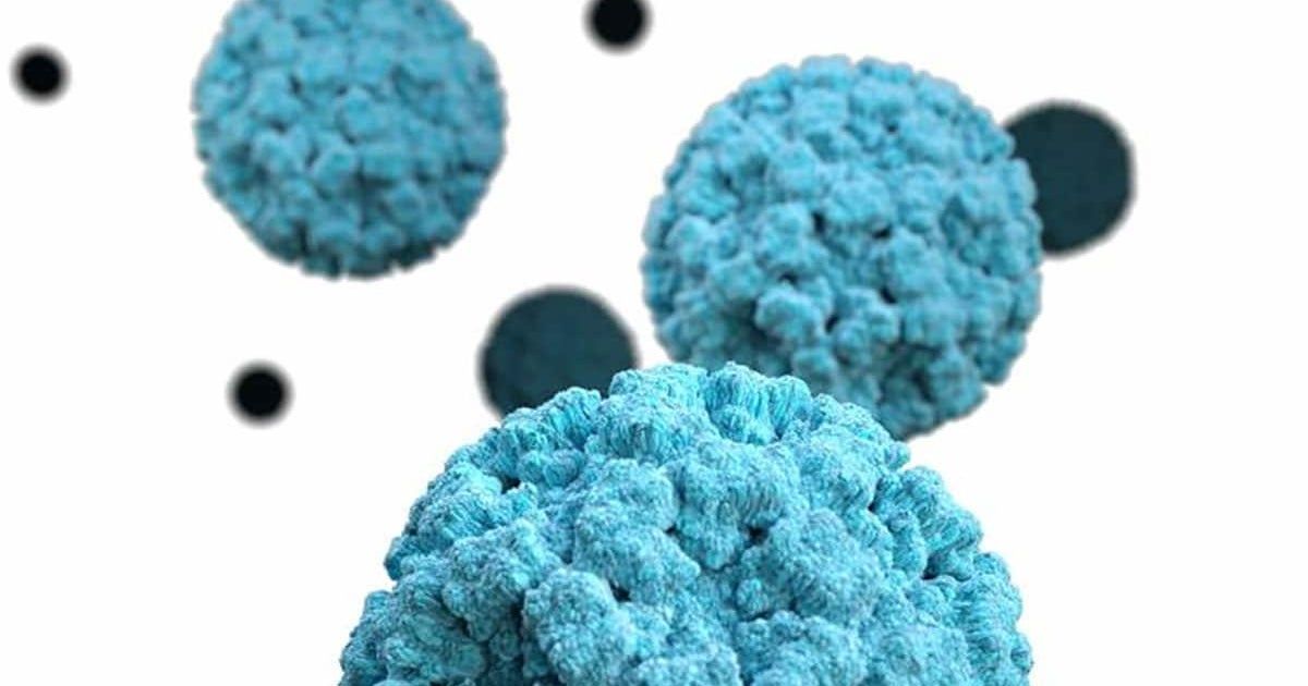 It feels like everyone has a stomach bug. A new norovirus strain might be to blame, CDC data suggests