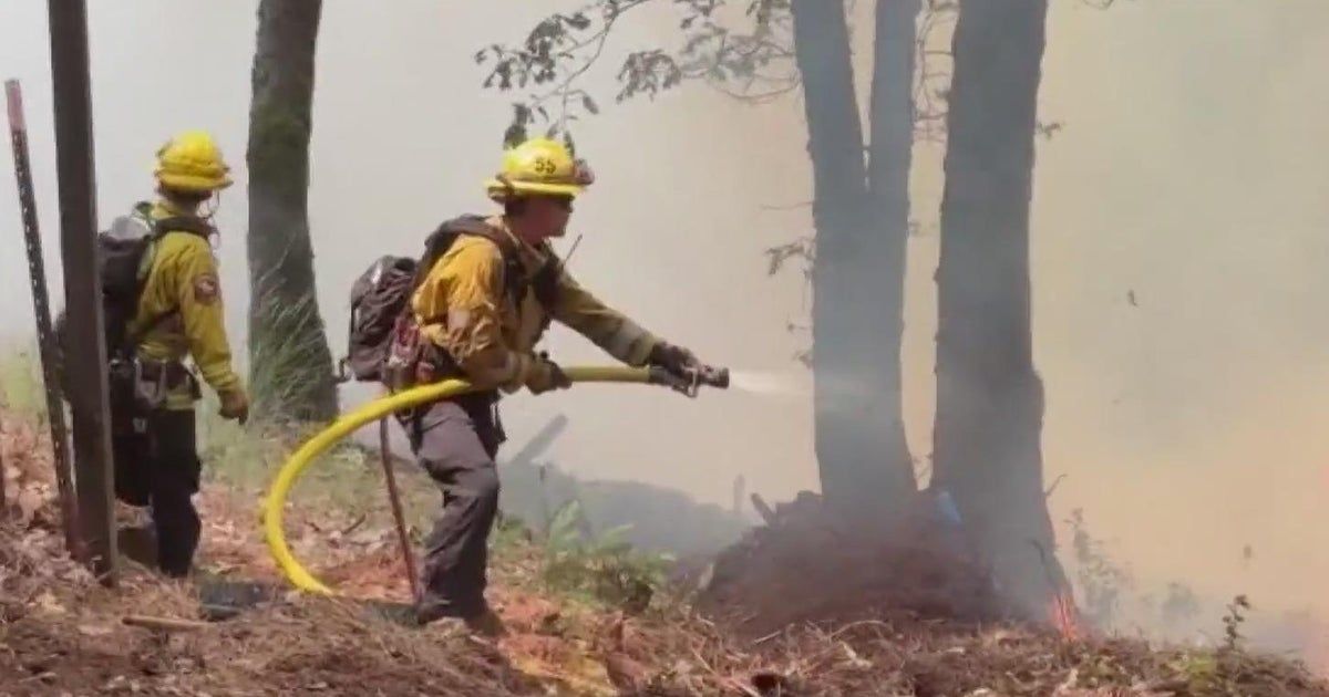 Wildfire smoke linked to heightened risk of dementia diagnosis, new California research finds Wildfire smoke linked to heightened risk of dementia diagnosis, new California research finds