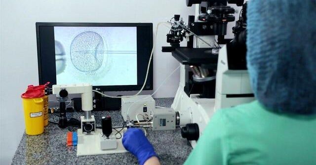 Alabama Supreme Court ruling on frozen embryos sparks IVF concerns Alabama Supreme Court ruling on frozen embryos sparks IVF concerns