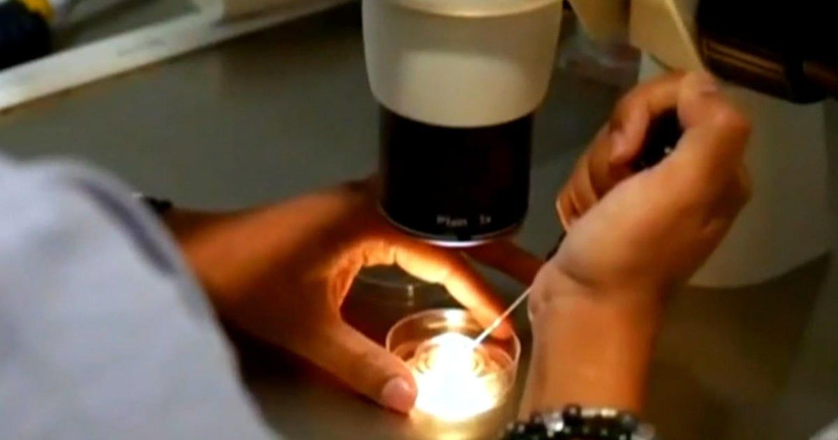 Sen. Tammy Duckworth says Alabama’s new law protecting IVF  “does not go far enough”