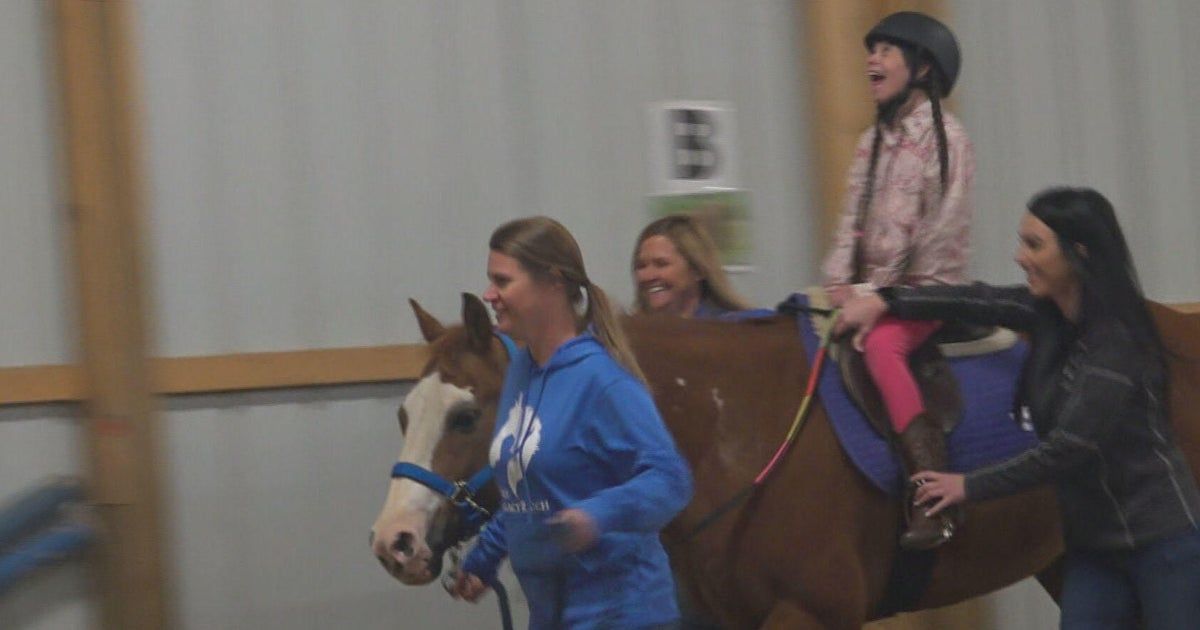 How horses are helping to heal people’s mental and physical health How horses are helping to heal people’s mental and physical health