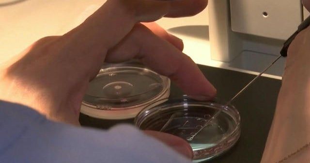 Potential impacts to IVF treatment after Alabama court’s frozen embryo rule