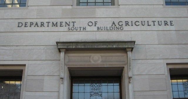 USDA cut back on listeria testing nationwide, ahead of deadly Boar’s Head outbreak