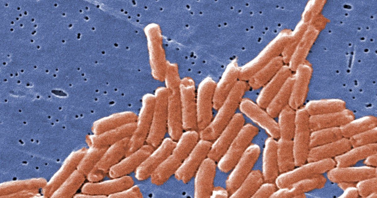 White-coated candy recalled nationwide over salmonella risk