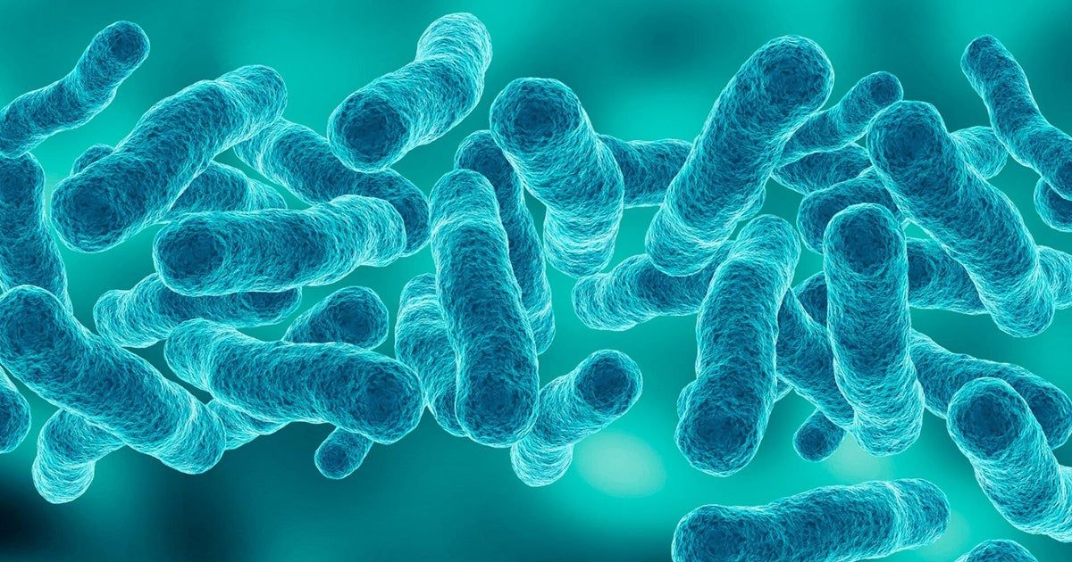 What to know about Legionnaires’ disease outbreak in Harlem