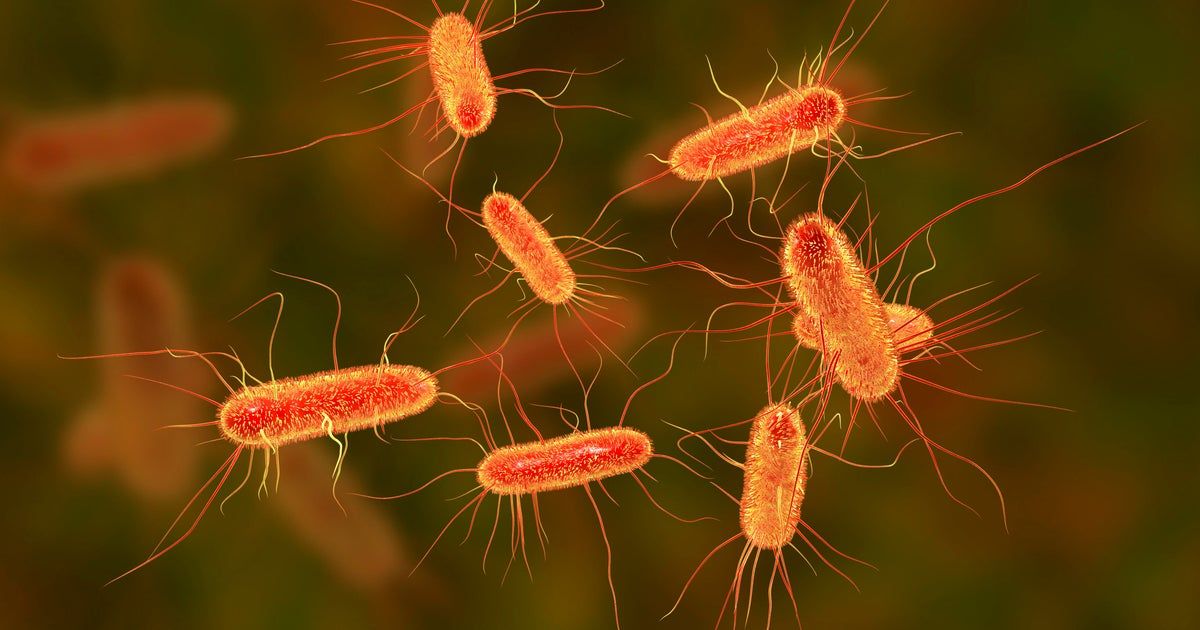 McDonald’s E. coli outbreak leads Burger King, KFC, Pizza Hut to remove onions from some locations McDonald’s E. coli outbreak leads Burger King, KFC, Pizza Hut to remove onions from some locations