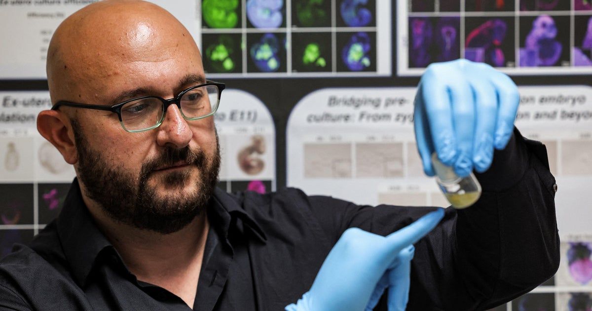 Lab-grown human