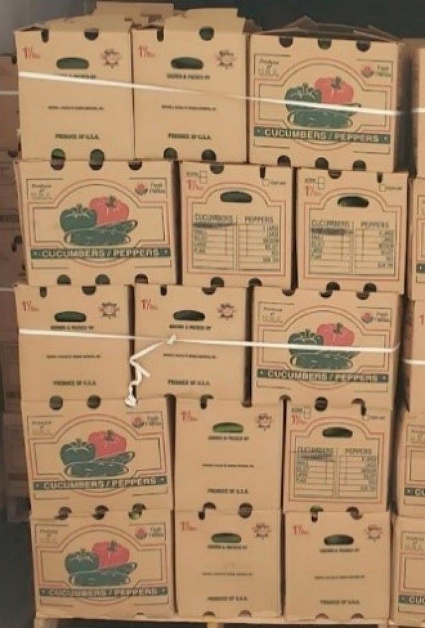 Cucumbers recalled in 14 states due to salmonella risk 1 image-1-315.jpg