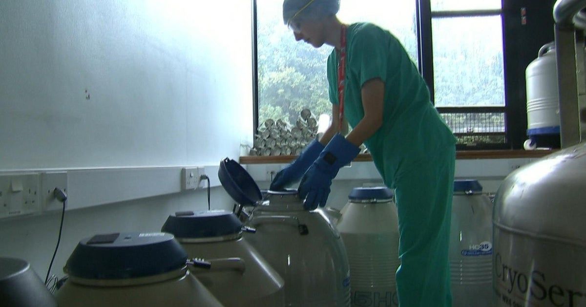 Alabama hospital pauses IVF treatment after embryo ruling