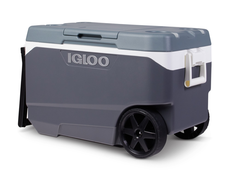 More than 1 million Igloo coolers recalled after reports of injuries including fingertip amputations 1 igloo-1.png
