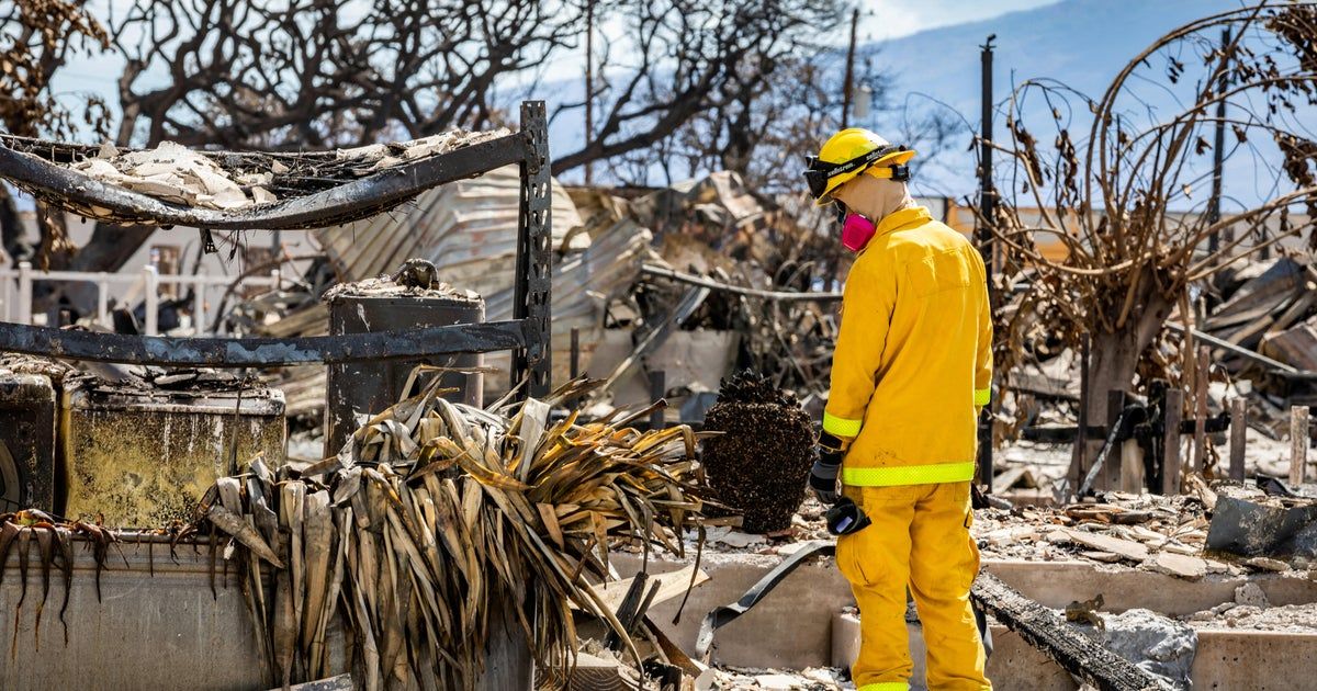 Maui wildfire leaves behind Maui wildfire leaves behind