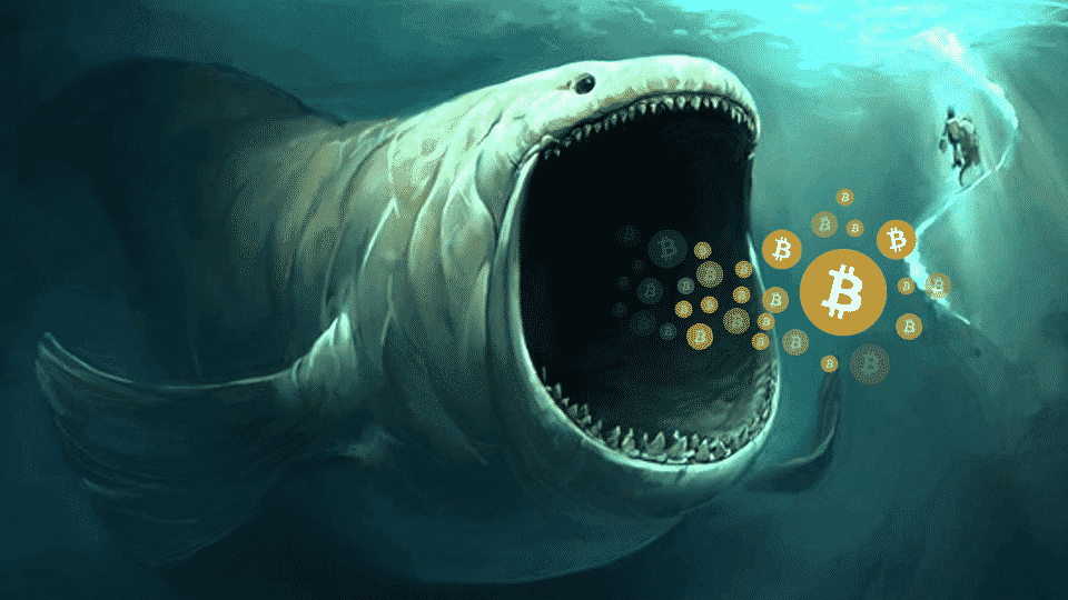What Happened To The Bitcoin Whale Who Opened  Billion Long And Short Positions? | Bitcoinist.com