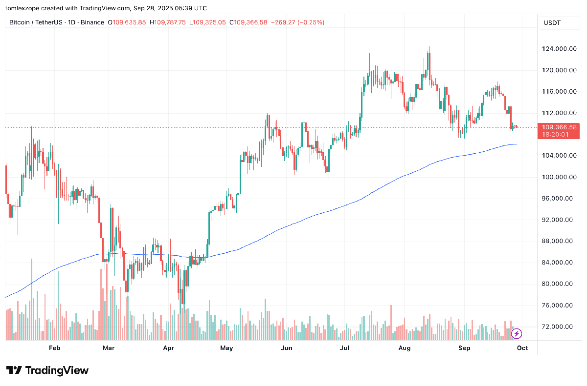 Bitcoin Long-Term Holders Easing Off On Sales—What’s Happening? | Bitcoinist.com 3 Bitcoin