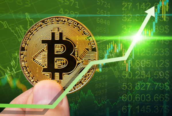 Bitcoin Is The Standard Now: Outperform It, Or Get Left Behind – CEO
