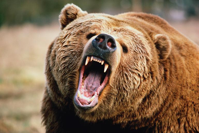 Strategy’s Bitcoin Position Is Bear-Proof, Analyst Says | Bitcoinist.com Strategy’s Bitcoin Position Is Bear-Proof, Analyst Says | Bitcoinist.com
