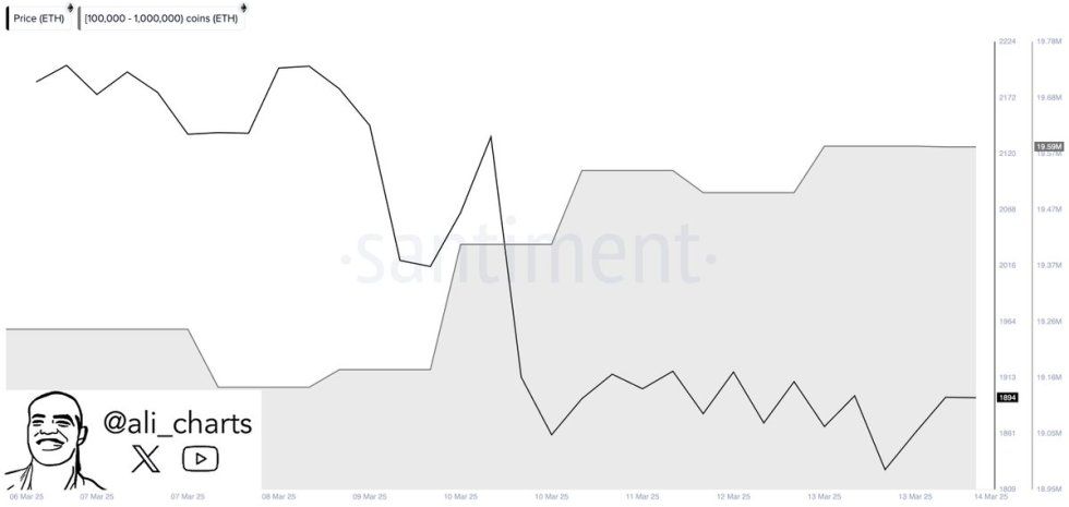 Whales Accumulate Over 420,000 Ethereum In Five Days – Rally On The Horizon? | Bitcoinist.com 1 Ethereum whale accumulation | Source: Ali Martinez on X