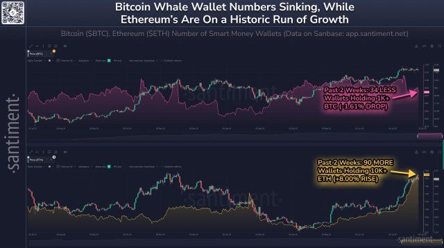 Ethereum Big Players Are Returning As Whale Wallets See Notable Growth | Bitcoinist.com 2 Ethereum