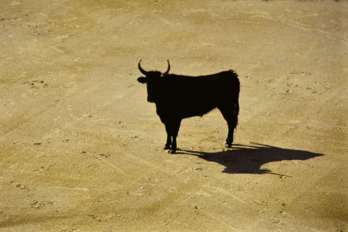 Bitcoin Liquidity Rotation Turns Bullish Again As Stablecoin Shelter Starts To Unwind Bitcoin Liquidity Rotation Turns Bullish Again As Stablecoin Shelter Starts To Unwind