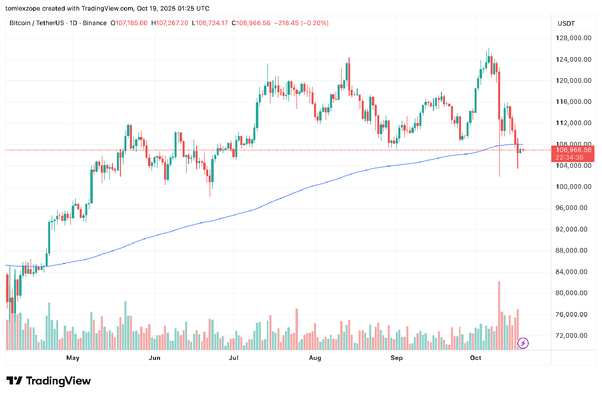 Retail Investors Lose $17 Billion To Bitcoin Treasury Hype: Report | Bitcoinist.com 3 Bitcoin