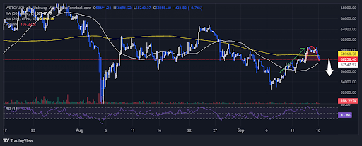 Analyst Uses Bitcoin Past Cycles To Pinpoint Start Of Bull Market - The Timeline Will Shock You | Bitcoinist.com 2 Bitcoin 3