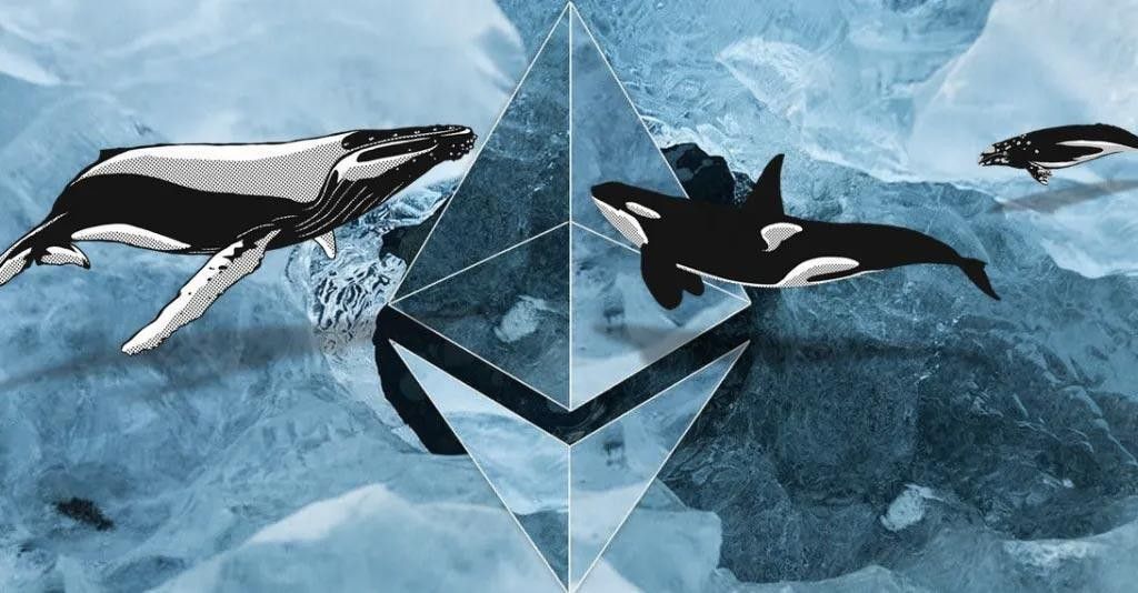 Ethereum ETF Excitement Leads Crypto Whales to Scoop Up 426,000 ETH, Price Rally Next? | Bitcoinist.com Ethereum ETF Excitement Leads Crypto Whales to Scoop Up 426,000 ETH, Price Rally Next? | Bitcoinist.com