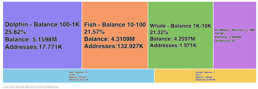Bitcoin Dolphins Are Dominating With Rapid Buying, How Much Have They Bought And Hold? | Bitcoinist.com 4 Bitcoin dolphins 3