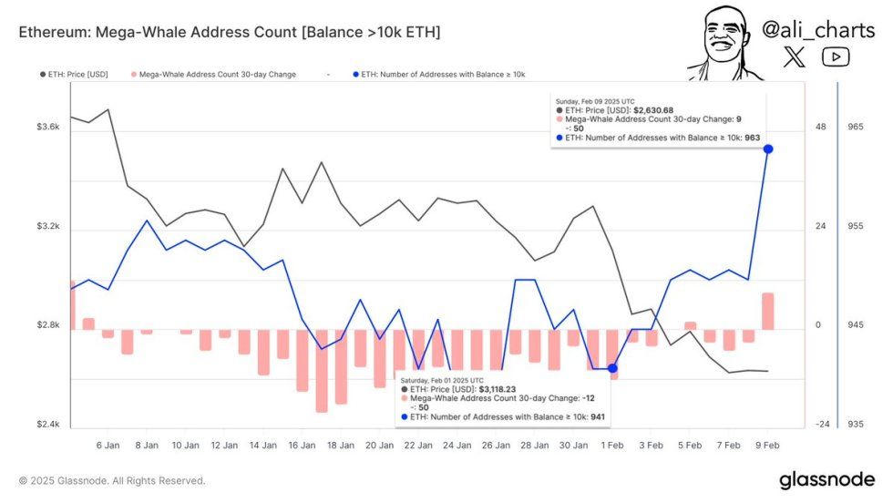 Ethereum Whales Holding Over 10,000 ETH Grow Since February 1st – Accumulation Signal? | Bitcoinist.com 1 Ethereum Mega-Whale Address Count | Source: Ali Martinez on X