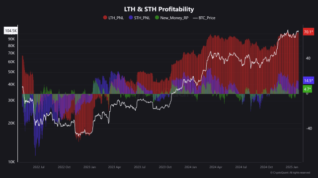 Bitcoin Market Remains Profitable Despite Recent Dip - Details 1 Bitcoin