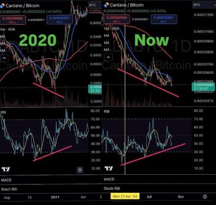 Cardano Bitcoin