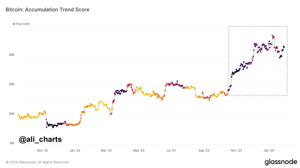 3-Year High: Bitcoin (BTC) Investor Sentiment Surges: Details 1 da49706c a 1b316c