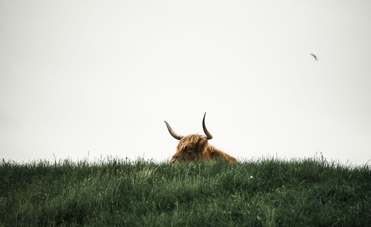 Bitcoin Bulls On The Prowl As Stablecoin Market Cap Hits 4 Billion | Bitcoinist.com