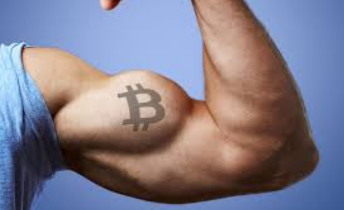 Bitcoin Dominance Returns Above 50% As Altcoins Encounter Resistance