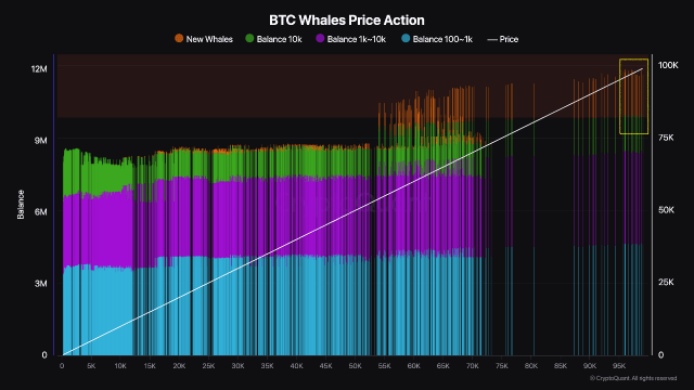 Bitcoin Whales Ramp Up Accumulation, Another Price Surge To Follow? 1 Bitcoin