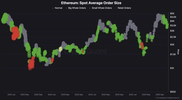 Ethereum Big Wallets Are Back: Whales Are Quietly Accumulating ETH - A Rally On The Way? | Bitcoinist.com 2 Ethereum