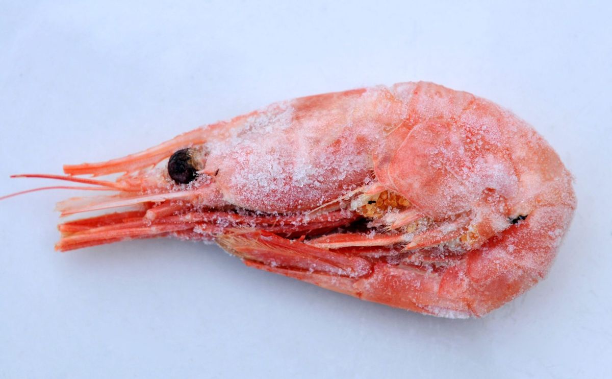 Walmart recalls potentially radioactive frozen shrimp sold in 13 states 1 0bc9d2f8 GettyImages 548855549 e1755638400613