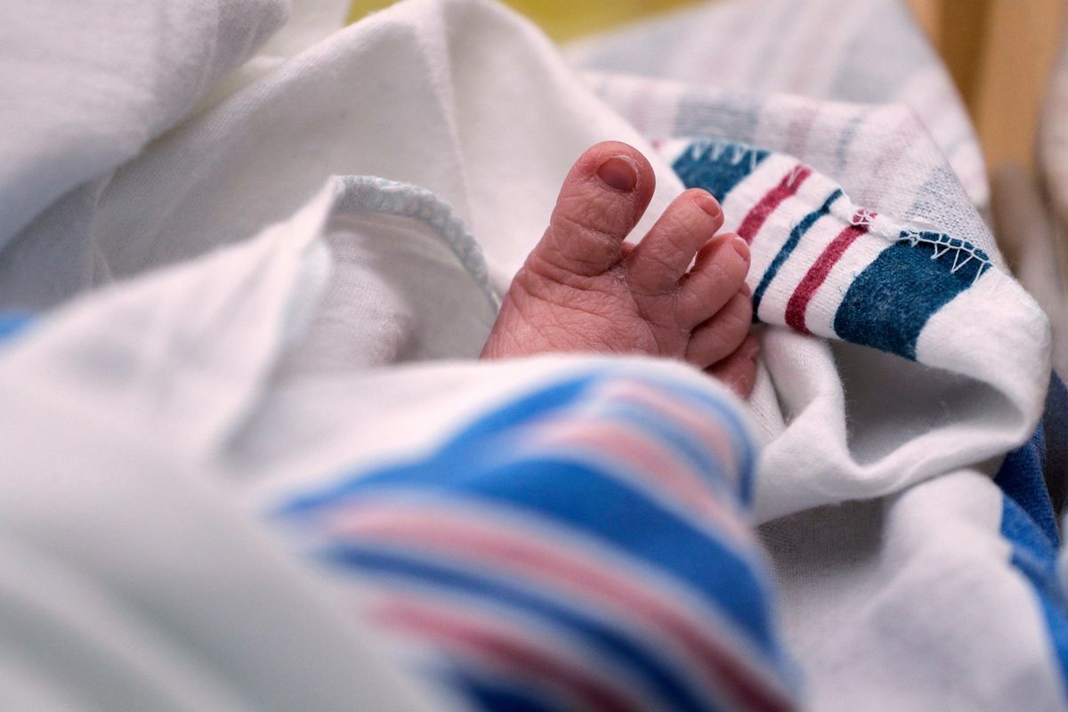 U.S. births dropped last year, offsetting 2024's increase and dashing hopes for an upward trend | Fortune 1 2cf4bad7 AP26037553574737