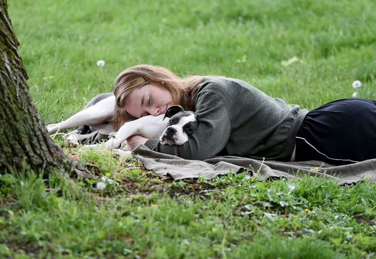 1-in-5 Americans are getting 5 hours or less of sleep per night, new Gallup poll says 1 38cd0461 AP24103807349483