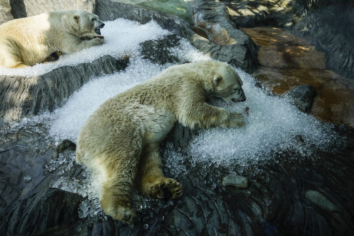 July was the first month in over a year that didn’t set a heat record 1 803374fe AP24192336608415 e1723114650628