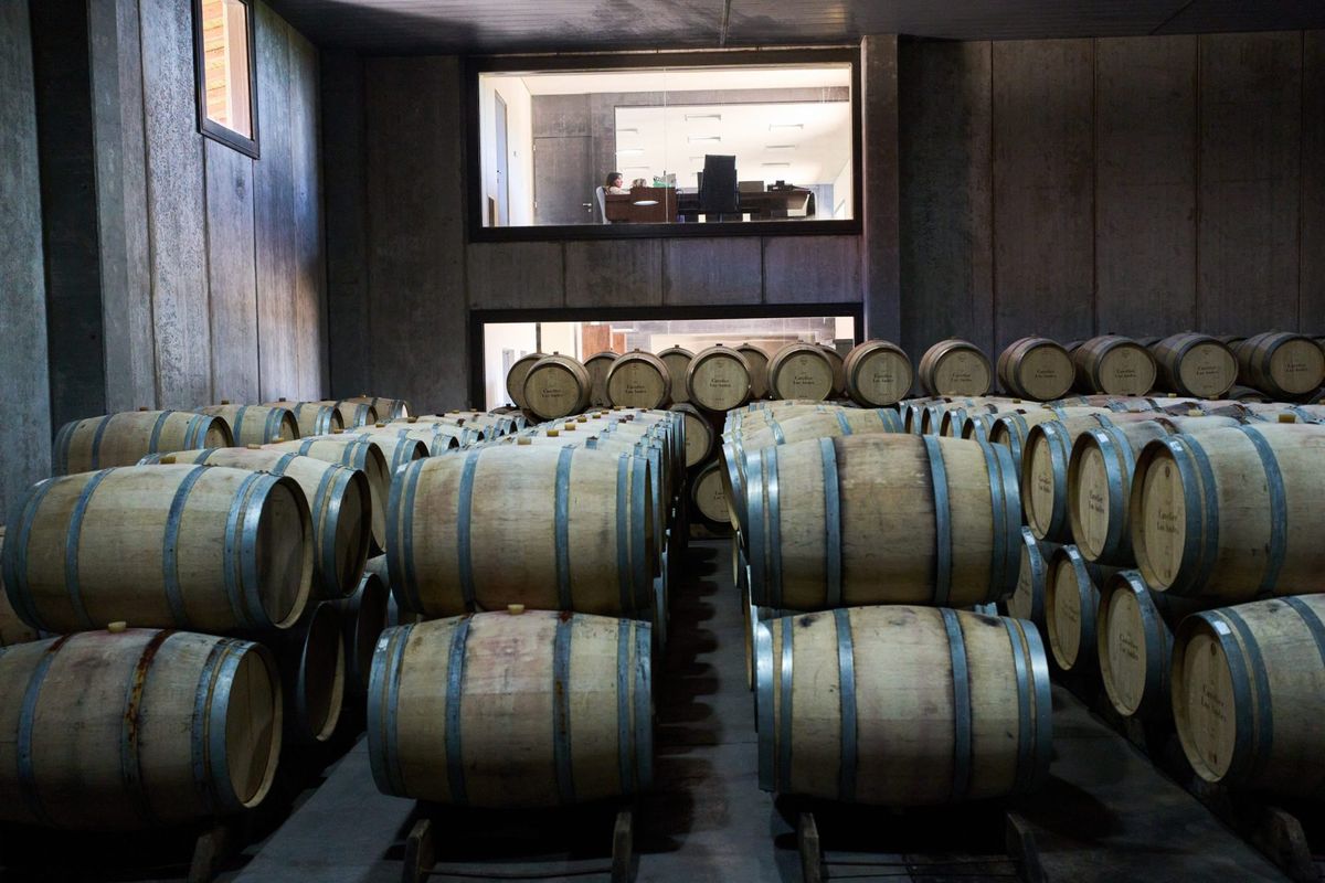 Argentines once drank 90 liters of wine a year. Now they're down to 15 — and 1,100 vineyards have already closed | Fortune 1 92a9a16d AP26071686610374 e1773866378794