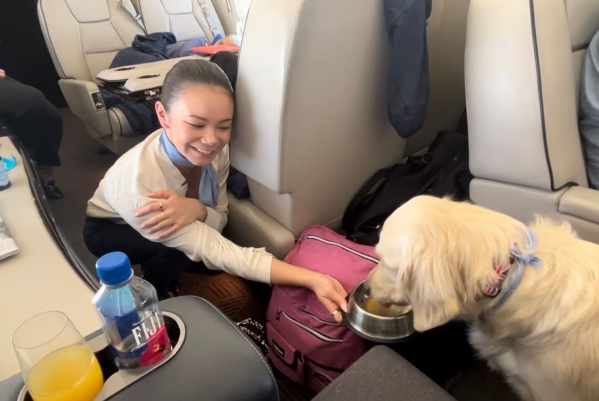 I flew 3,400 miles with my golden retriever on a one-of-a-kind luxury airline for dogs—here's what it was like 4 977eba03 IMG 7352