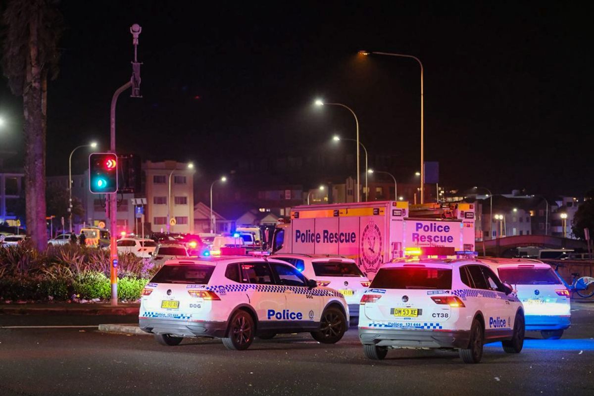 Hero bystander who tackled Bondi gunman praised by Trump, Ackman | Fortune 1 b55fbdaf GettyImages 2251824660 e1765756266175