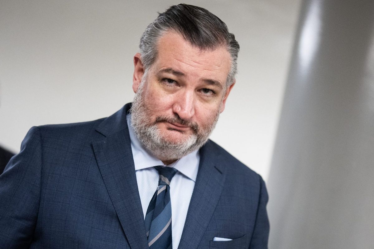 Ted Cruz says the quiet part out loud: Trump accounts are Social Security personal accounts as GOP senator reveals 'dirty little secret' | Fortune 1 c13170c4 GettyImages 2273251902 e1778342977311