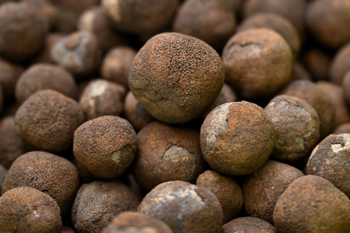 China dominates the minerals that power AI. But one company claims there's enough supply on the ocean floor to last for hundreds of years | Fortune 1 polymetallic nodules