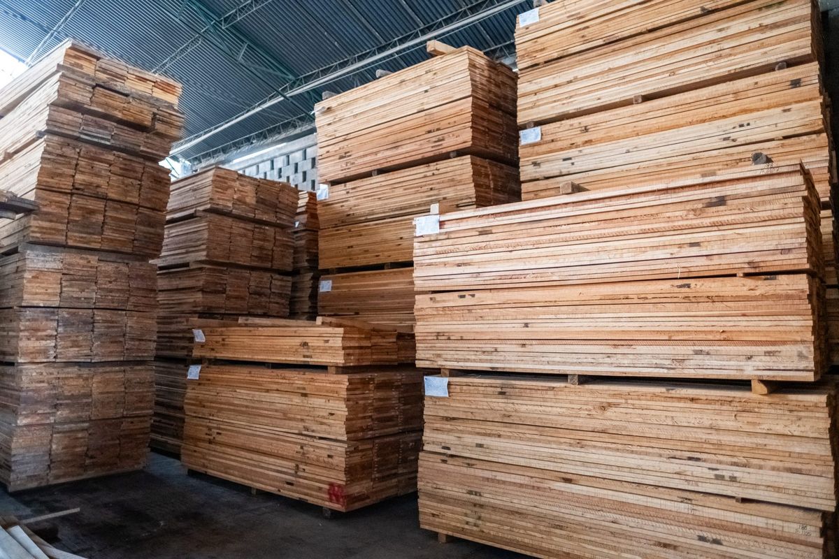 Trump takes actions to increase lumber supplies and curb wood imports 1 c71ab8bb GettyImages 1583463651 e1740929108368