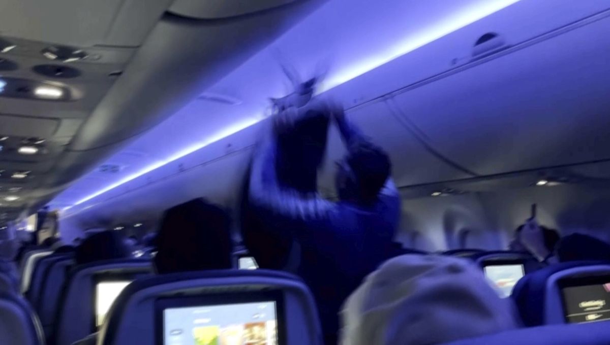 2 pigeons sneak onto Delta Air Lines plane, delaying flight twice 1 e4b50441 AP25148642487671 e1748518261714