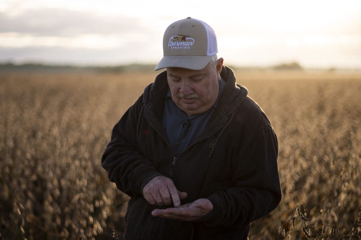 'We want to trust what we’ve heard': Farmers remain unsettled on trade, even after China’s biggest U.S. soybean purchase in two years | Fortune 1 e5b38439 GettyImages 2240339093 e1763753077673
