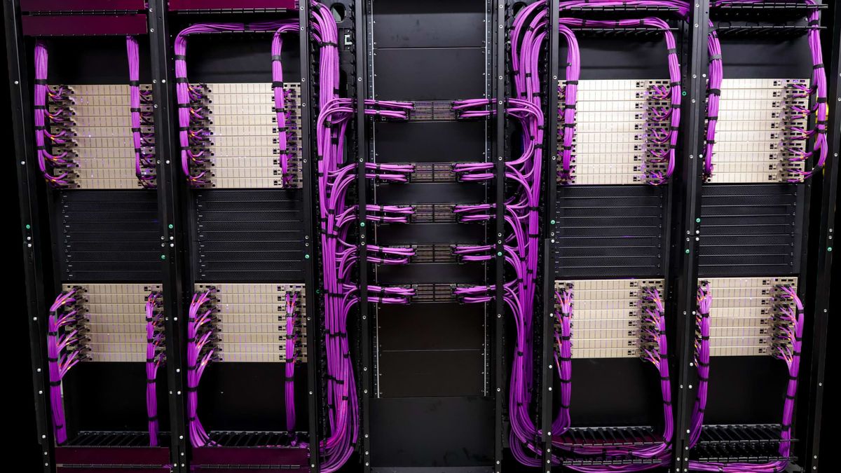 0 purple cables put this little-known company in the middle of the AI boom 0 purple cables put this little-known company in the middle of the AI boom
